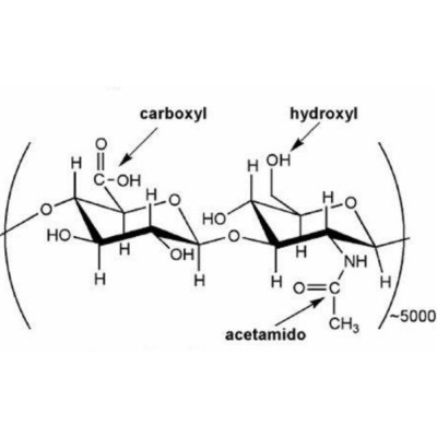 Düşük Molekül Ağırlıklı Hyaluronik Asit 